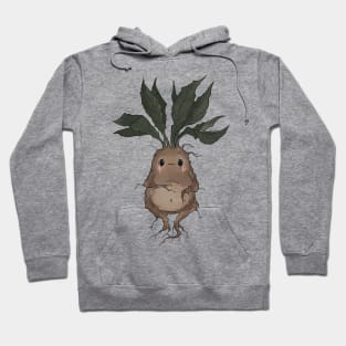 mandrake Hoodie